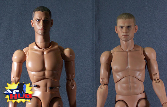 hot toys truetype male figure body