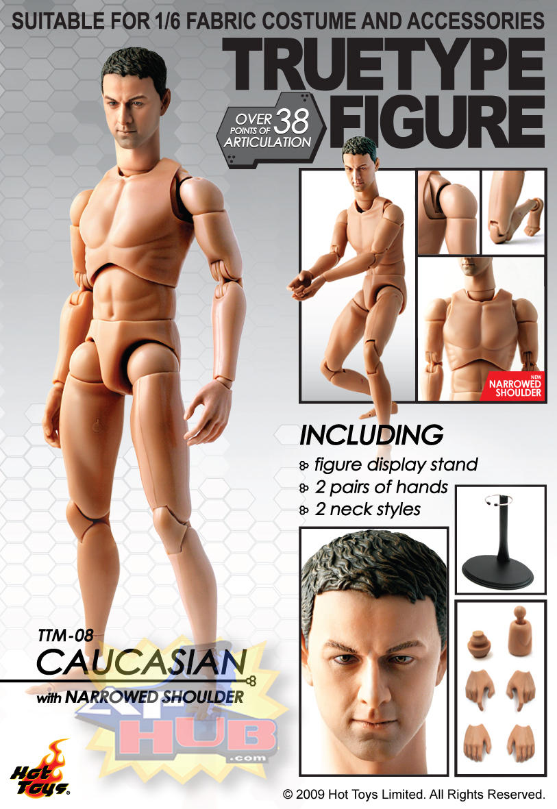 1/ 6 scale Hot Toys Advanced Muscular TTM 20 action figure in