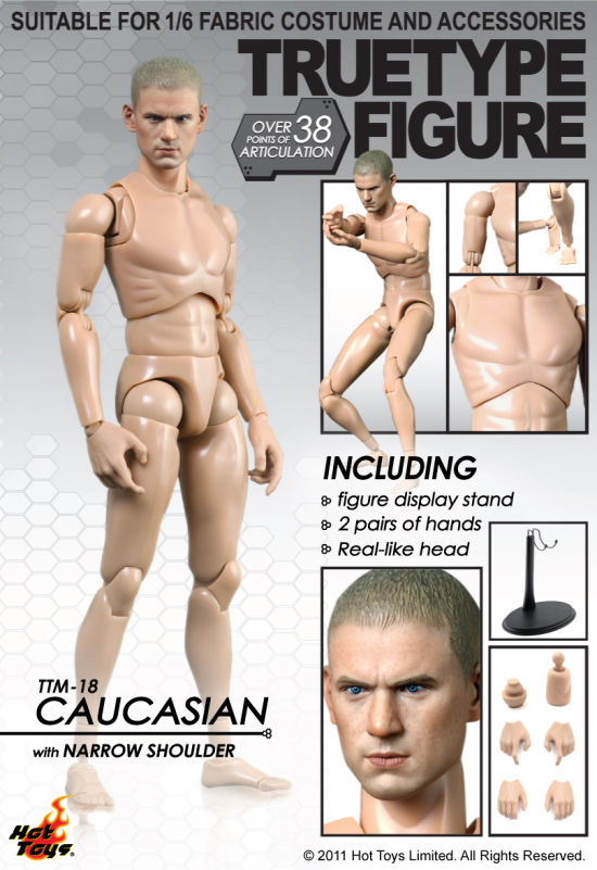 hot toys truetype male figure body