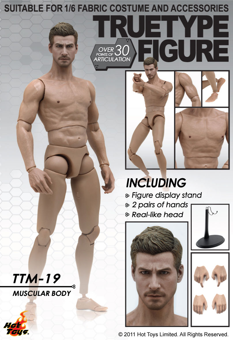 hot toys truetype male figure body